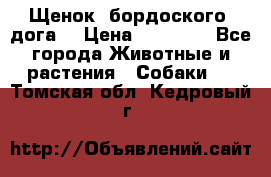 Щенок  бордоского  дога. › Цена ­ 60 000 - Все города Животные и растения » Собаки   . Томская обл.,Кедровый г.